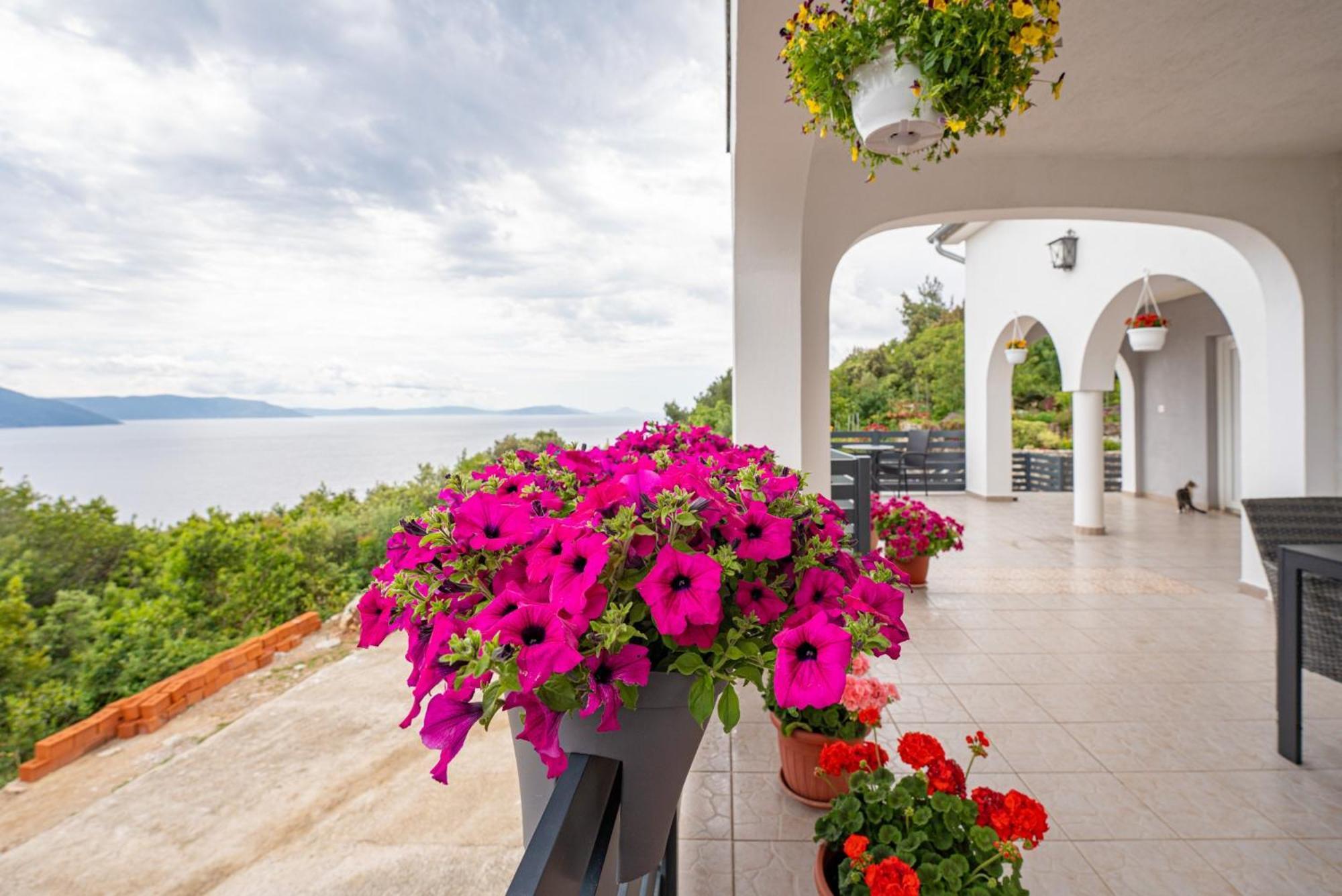 Villa Paradiso In Plomin - Istrien Luaran gambar